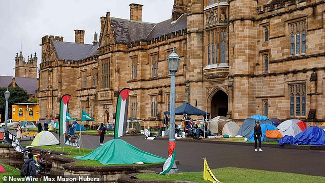 Pro-Palestinian camps have mushroomed across Australian universities in 2024