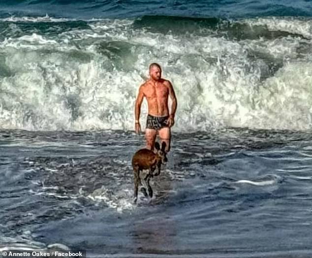 An Adelaide man has been branded a hero after he was spotted saving a kangaroo from drowning in Adelaide's Port Noarlunga on Friday morning