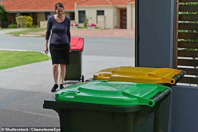 South Australia's Port Adelaide Enfield Council has warned residents that a $312.50 fine will be issued to anyone who leaves their bins on the curb for too long.