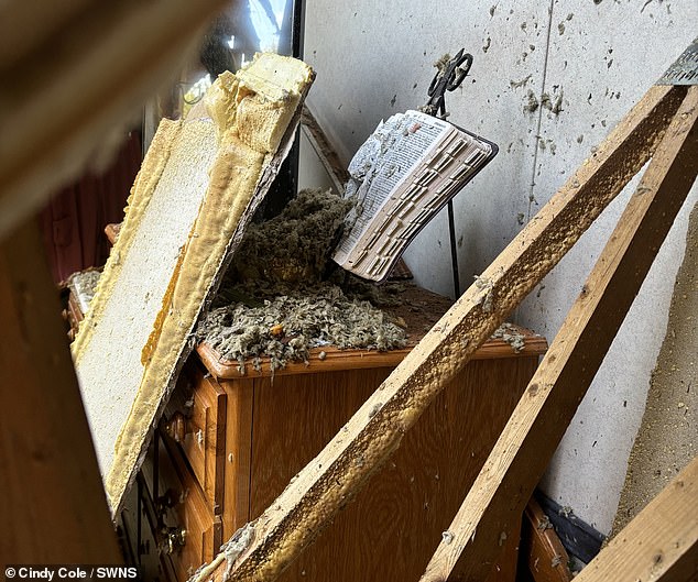 Cindy Cole, 62, said her Bible remained completely intact after a tree crashed through the wall in her Georgia home