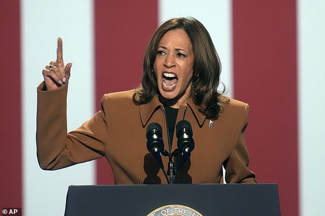 Vice President Kamala Harris is 11 points behind where President Joe Biden landed in the 2020 presidential election in New York City, according to a new poll