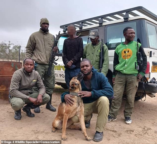 Shinga was able to follow a poacher for about 2.8 miles, all the way back to their home. There they were found together with the dead warthog and arrested