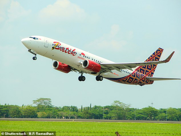 Malaysian airline Batik Air has suspended direct flights between Canberra and Bali