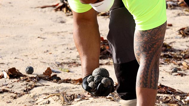 A marine expert has revealed the likely source of hundreds of mysterious black balls that have washed up on Sydney's popular Coogee Beach (pictured)