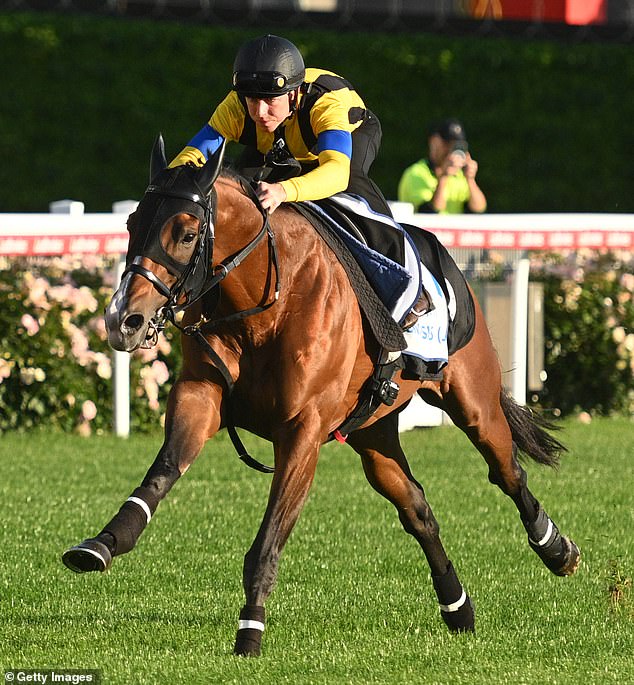 With the Spring Carnival in full swing, attention now turns to the 101st staging of the Cox Plate at Melbourne's Moonee Valley on Saturday (Photo, Pre-Race Favorite Forecast)