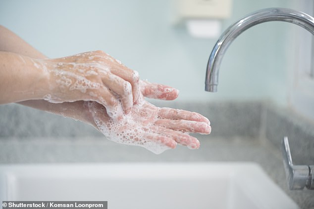 It's something we all learn when we're potty trained as children. But a disgusting new study has revealed how many people don't wash their hands after using the toilet (stock image)