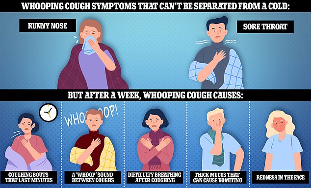 Health officials warned that the infection may initially be difficult to distinguish from a cold because the first signs are a runny nose and sore throat. But about a week later, patients may experience coughing fits that last minutes, have difficulty breathing after coughing, and make a 