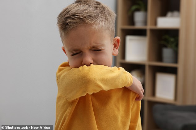 Health officials have warned that whooping cough, which is extremely dangerous to young children and teenagers, is on the rise nationwide (stock image)