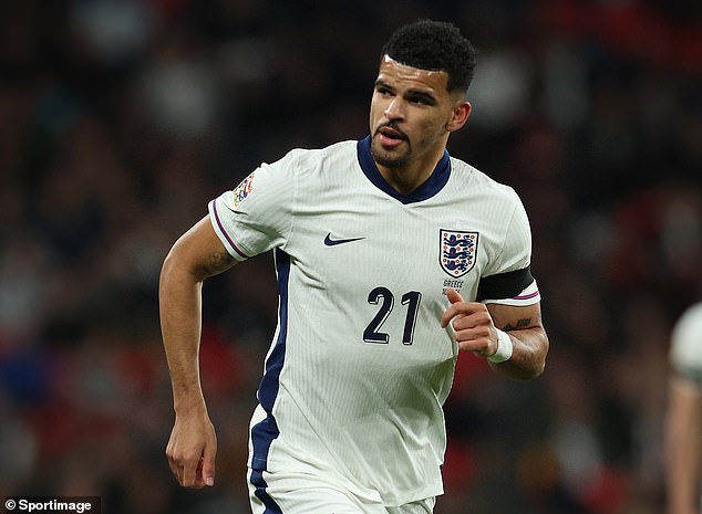 Solanke earned his second England cap - seven years after his first - against Greece last week