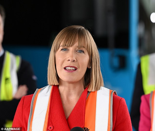 Transport Minister Jo Haylen has backed the push to legalize e-scooters, claiming it would be a 'big win for everyone'