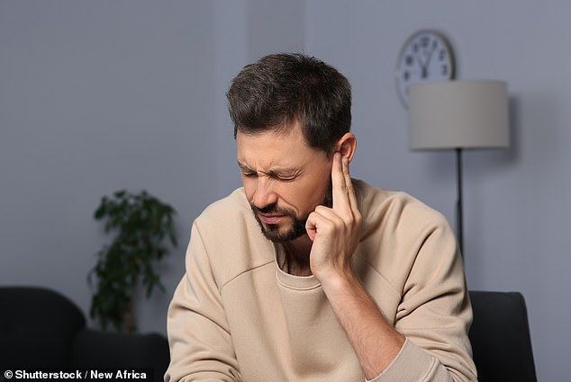 Regular fish meals can lower the risk of developing the incurable hearing condition tinnitus, a study shows (Stock Image)