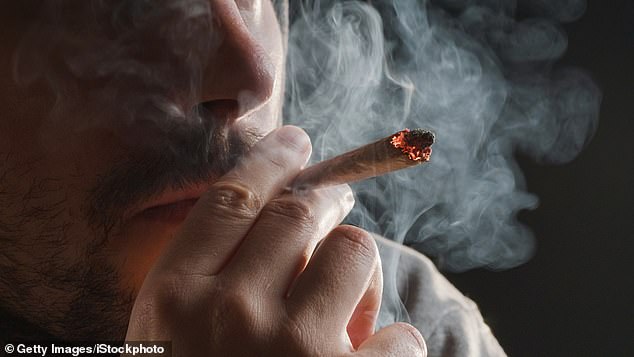 Researchers compared the brains of people who have ever used cannabis and found that it is associated with several changes in brain structure and function later in life