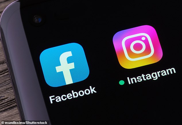 Meta, the owner of social media platforms Facebook and Instagram, will use your posts to train its artificial intelligence (AI) models (file photo)