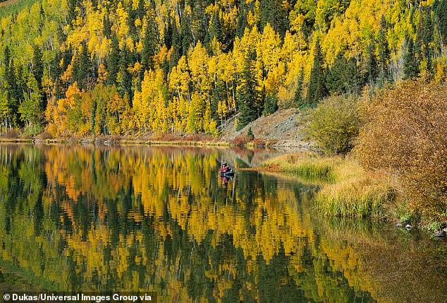 The lake's dam is considered high-risk and that is why it has been drained