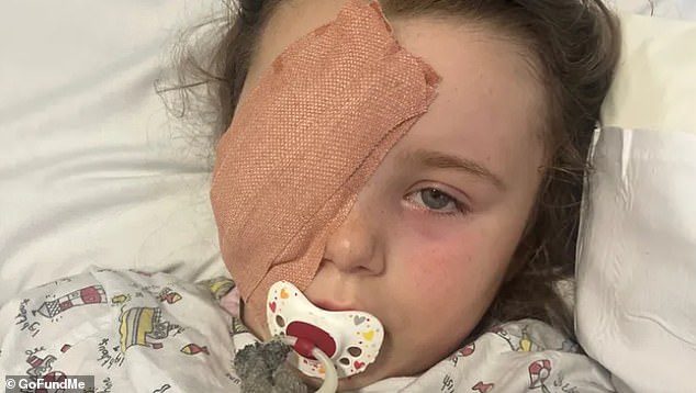 Ruby Grainger (pictured) was walking across a field near her home in Fortunestown, Tallaght, Ireland, on October 5 when something exploded from a nearby fire, hitting her right eye.