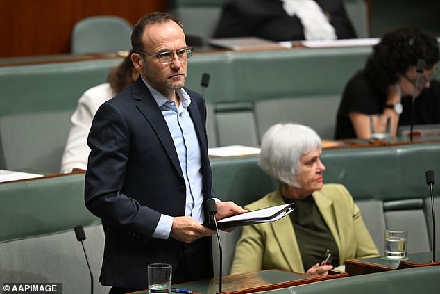 Greens leader Adam Bandt said people can 'make their own judgement' about him enjoying an exclusive and discretionary benefit from Qantas