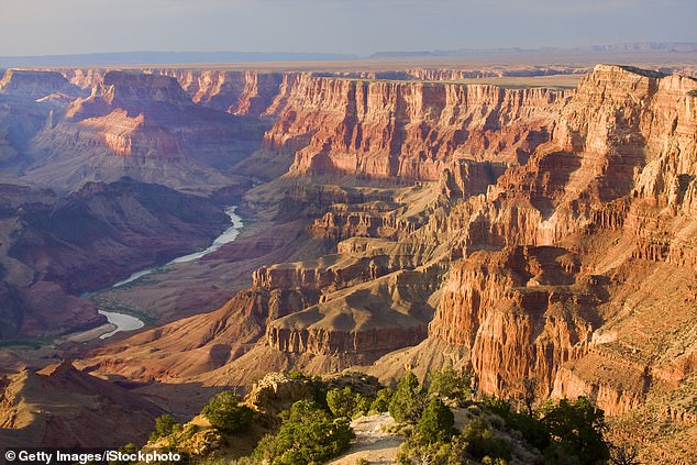 In the photo: the Grand Canyon, a three-hour drive from the Petrified Forest National Park