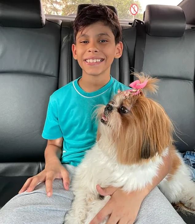 Thiago Magalhães seen here with his dog Milú. The 11-year-old boy said he 'felt a lot of despair' when he saw his pet's collar stuck between two lift doors in his building in Brazil before he managed to save her