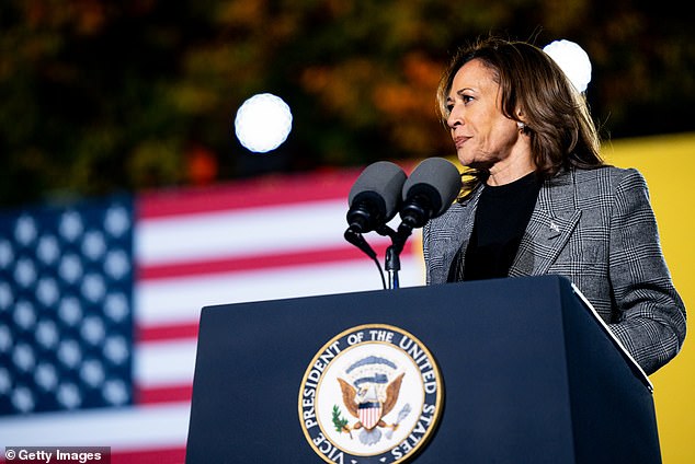 Vice President Kamala Harris speaks during a campaign rally on October 28 in Michigan