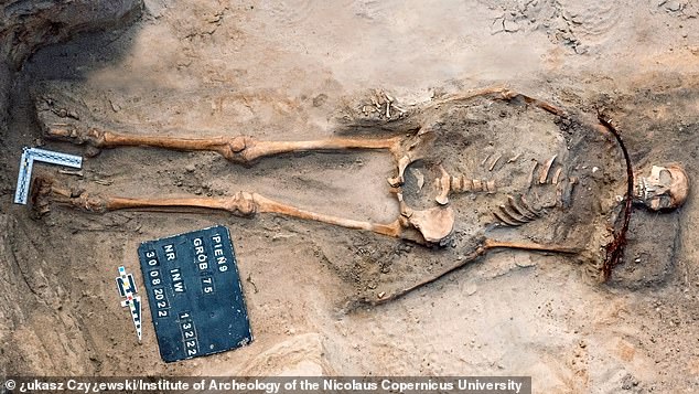 The 'vampire', named Zosia by archaeologists, was 18 years old when she died, about 350 years ago in the mid-17th century