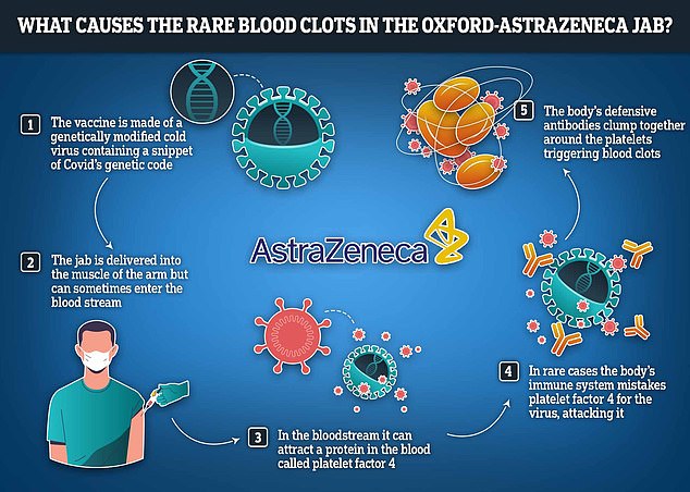 Researchers believe the rare side effect occurs because the modified cold virus lurking in the jab has an adverse effect on platelets in the blood, causing clotting.