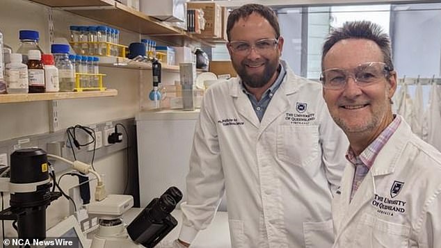 University of Queensland researchers Nathan Palpant and Glenn King are leading the world's first study. Image: supplied