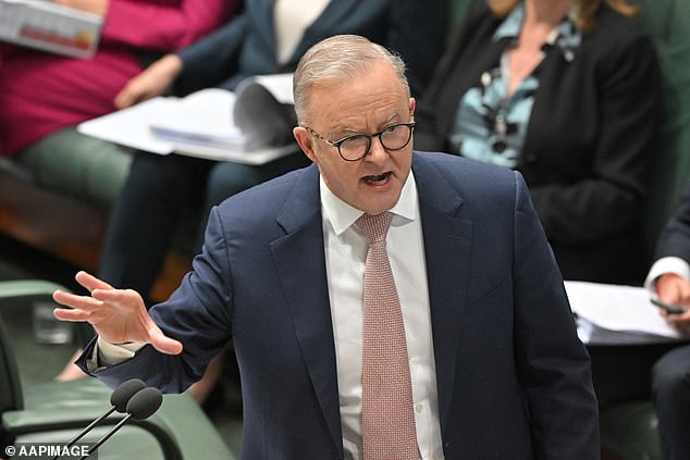 Anthony Albanese's criticism of people with Tourette's syndrome overshadowed his failure to completely rule out a new tax on the family home (he is pictured on Tuesday)