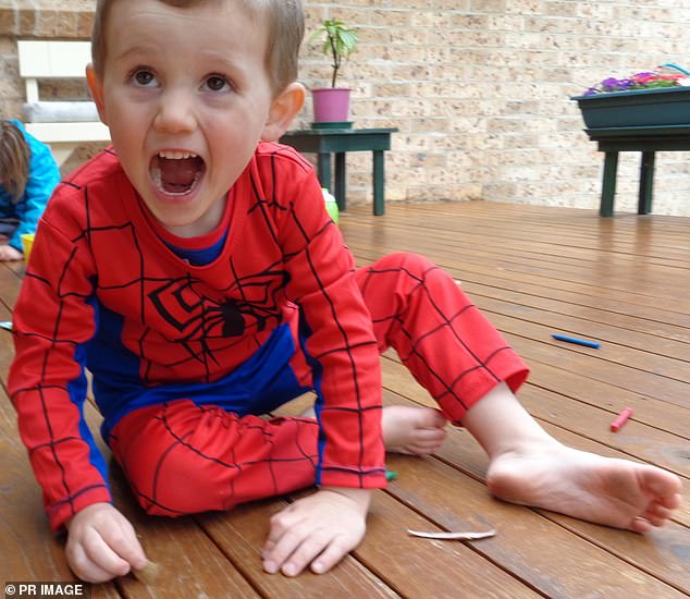 Missing toddler William Tyrrell wore a distinctive Spider-Man costume the day he disappeared while visiting his foster grandmother's home on the NSW north coast