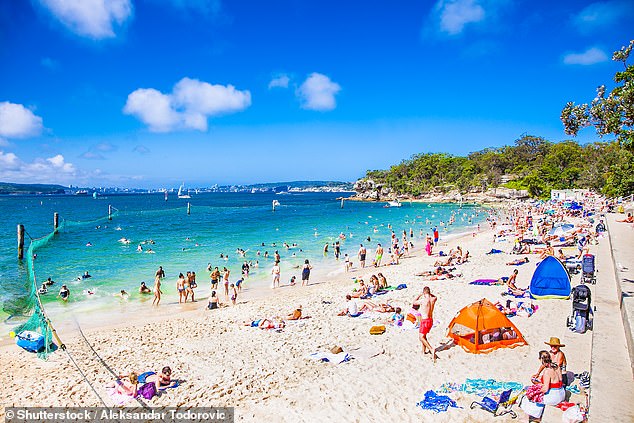 The iconic Shark Beach – known locally as Nielsen Park in Vaucluse in Sydney's eastern suburbs – will open in late November (the beach is pictured)