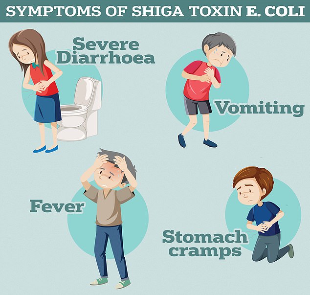 Symptoms of Shiga toxin-producing E. coli include severe diarrhea and vomiting