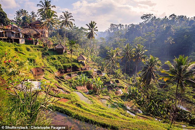 Ubud, in the heart of Bali, is known for its lush beauty and laid-back lifestyle