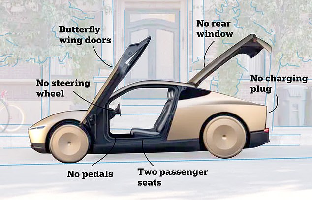 Tesla's futuristic Robotaxi will have no steering wheel, pedals or rear window. The two passengers simply sit back and let the car drive itself