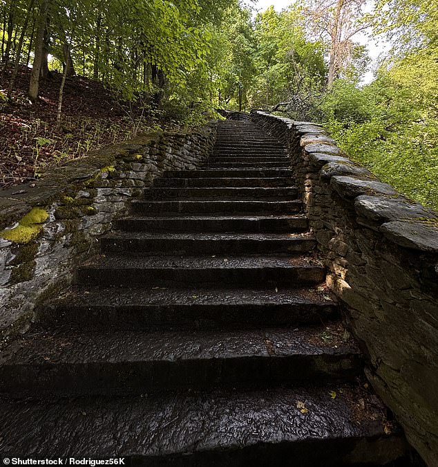 A creepy staircase in Thompson Park