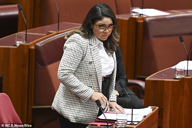 Jacinta Nampijinpa Price (pictured) has spoken out against Anthony Albanese over his handling of indigenous affairs, saying he doesn't have 'the character' to be Prime Minister