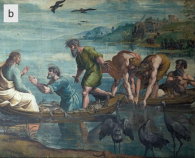 The Biblical story of Jesus' miraculous catch of fish could be a reality, researchers have discovered