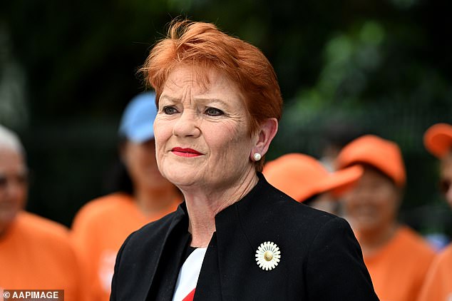 Pauline Hanson (pictured) claimed she did not know Mehreen Faruqi was Muslim when she sent the tweet