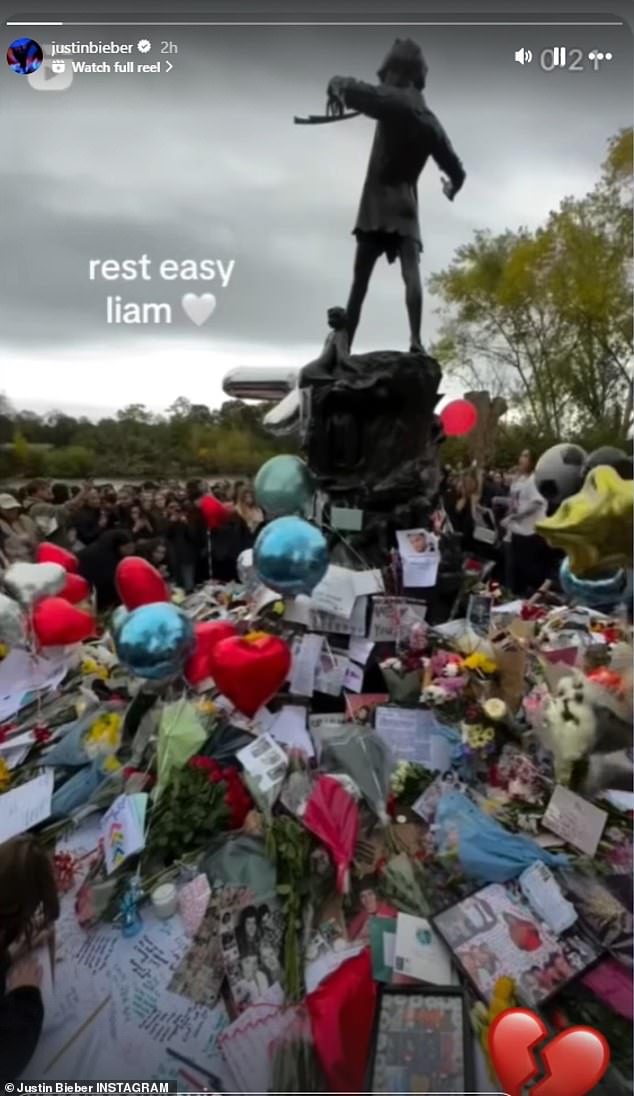 The 31-year-old singer, who dominated the charts with the boy band in the 2010s, shared a somber video with floral tributes and messages engraved in Liam's memory - with the message: 'Rest in peace, Liam'