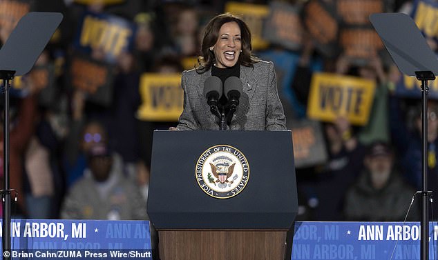 Vice President Kamala Harris smiles during her rally at Burns Park in Ann Arbor, MI