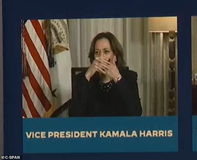 Kamala Harris was caught in an awkward hot mic moment Wednesday during a virtual briefing on Hurricane Milton, which critics accused of being a tool in her ear to fuel her talking points