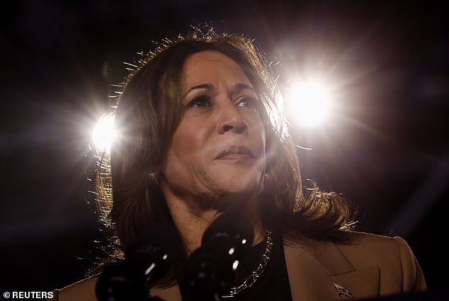 Democratic presidential candidate and US Vice President Kamala Harris looks on during a campaign event