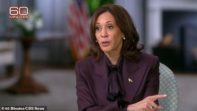 Armed: Vice President Kamala Harris told 60 Minutes she owns a Glock pistol