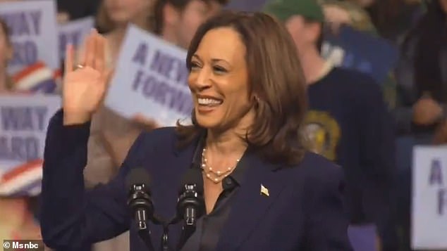 Vice President Kamala Harris appears to wave away Trump supporters who disrupted her campaign rally in La Crosse, Wisconsin