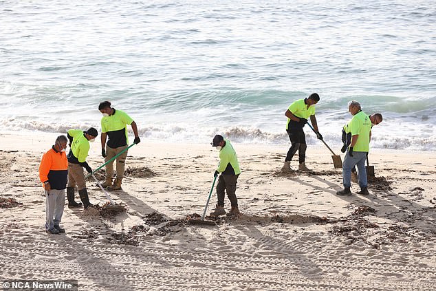 Seven beaches in Sydney were closed while the clean-up operation continued