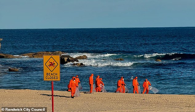 Two more Sydney beaches have been closed to the public after black tar balls washed up along the coast. Coogee beach is pictured