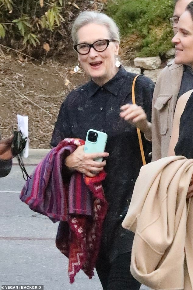 Meryl Streep was recently spotted at a concert in Los Angeles, just days after her rumored romance with Martin Short appeared to get confirmation