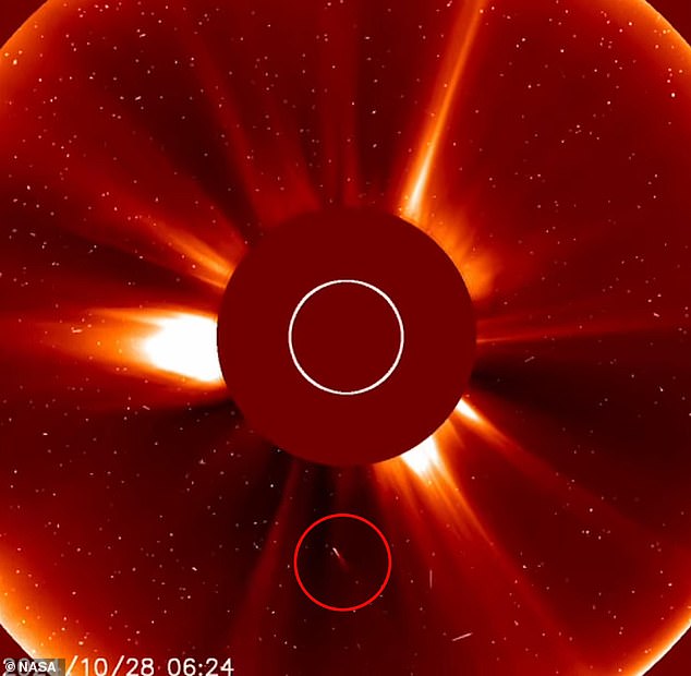 NASA's Solar and Heliospheric Observatory (SOHO) witnessed the final moments of the 'Great Halloween Comet' as it drifted closer to the sun