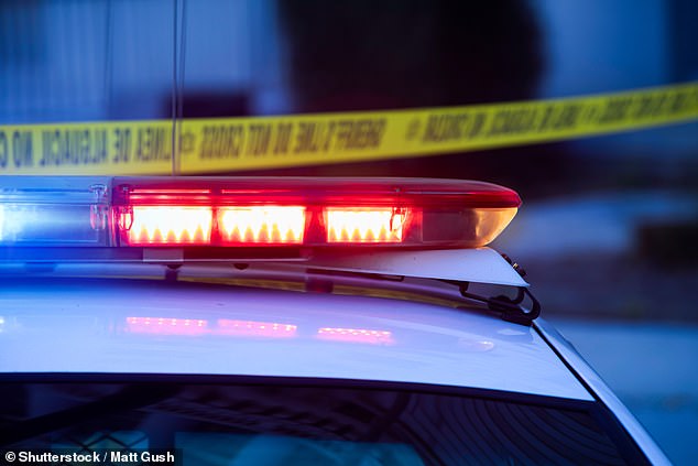 Several people have been found dead and murdered in a home in a quiet Seattle neighborhood