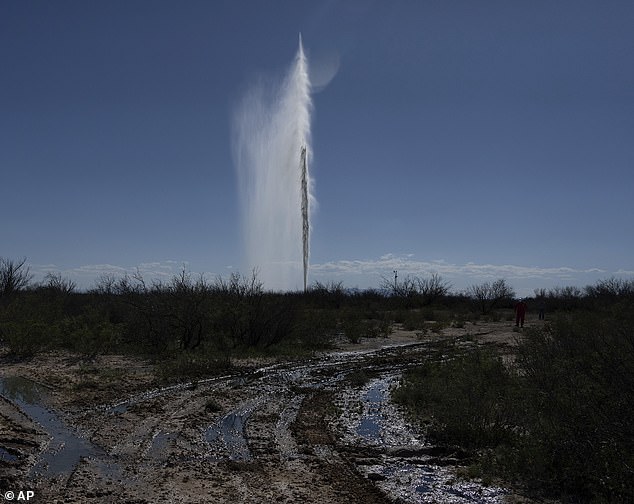 A geyser erupted in Texas on Wednesday, spewing salty, oil-contaminated water 100 feet into the air (photo)