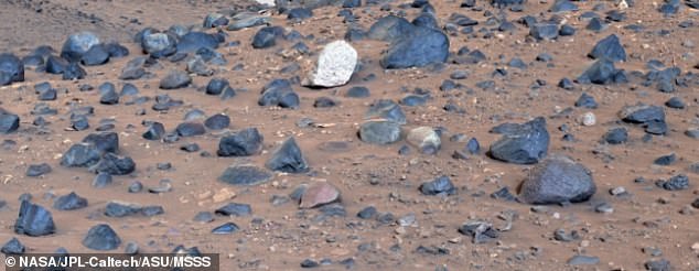 The white, speckled rock - now called 'Atoko Point' - stood out in the middle of this blue-black volcanic basalt, surprising NASA's Perseverance team.