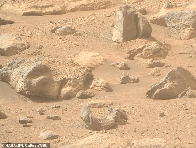 NASA's Perseverance Mars rover captured a photo of a rock resembling a human face (left) on the red planet's surface